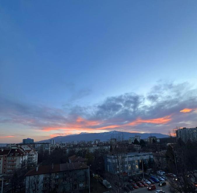 Sunny #1 Apartemen Sofia