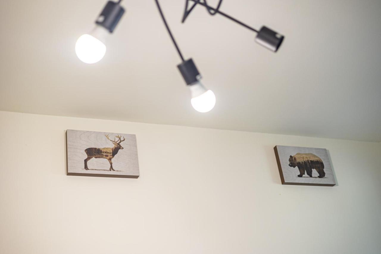 Apartment Sunny #1